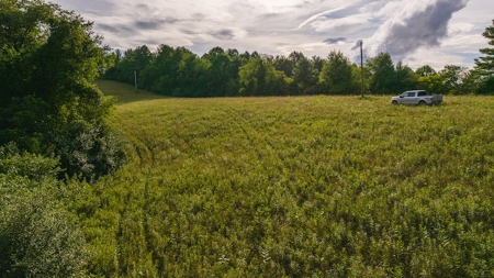 Recreational Land for Sale on Big Reed Island Creek - image 2