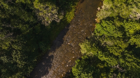 Recreational Land for Sale on Big Reed Island Creek - image 20