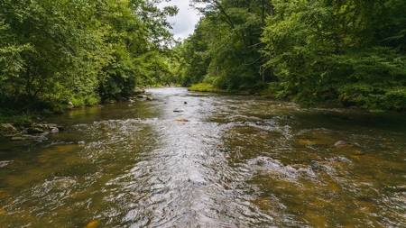 Recreational Land for Sale on Big Reed Island Creek - image 29