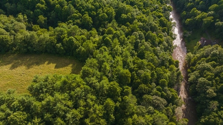 Recreational Land for Sale on Big Reed Island Creek - image 5