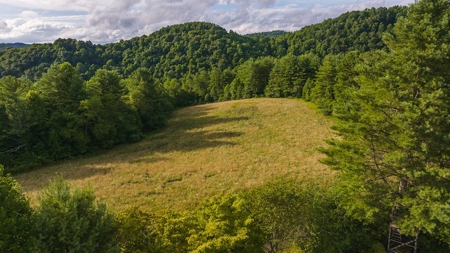Recreational Land for Sale on Big Reed Island Creek - image 3