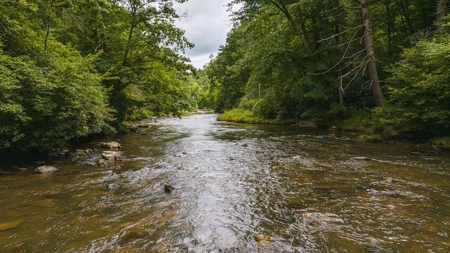 Recreational Land for Sale on Big Reed Island Creek - image 30