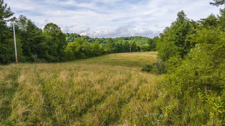 Recreational Land for Sale on Big Reed Island Creek - image 9