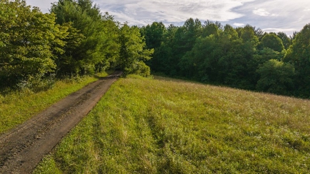 Recreational Land for Sale on Big Reed Island Creek - image 18