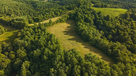 Recreational Land for Sale on Big Reed Island Creek - image 6