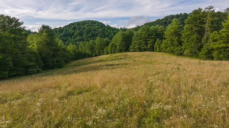Recreational Land for Sale on Big Reed Island Creek - image 14