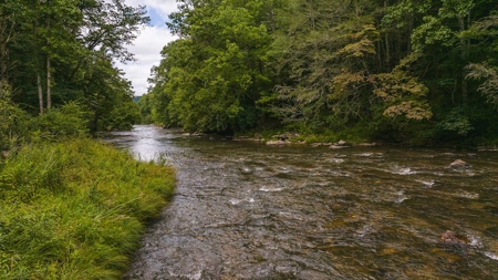 Recreational Land for Sale on Big Reed Island Creek - image 26