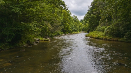 Recreational Land for Sale on Big Reed Island Creek - image 31