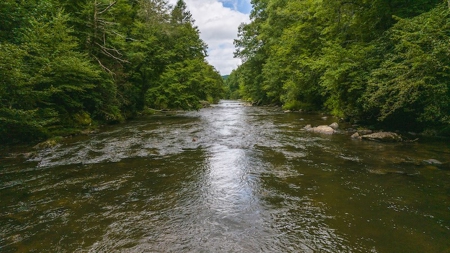 Recreational Land for Sale on Big Reed Island Creek - image 28