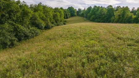 Recreational Land for Sale on Big Reed Island Creek - image 12