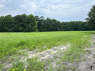 Prime 34-Acre Property in Washington, NC - image 10