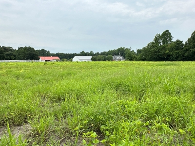 Prime 34-Acre Property in Washington, NC - image 12