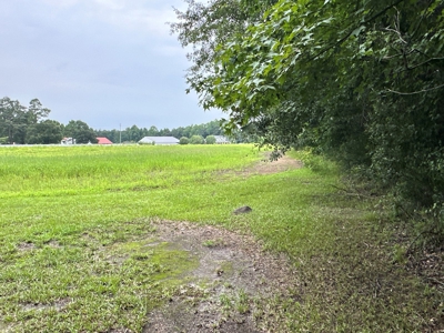 Prime 34-Acre Property in Washington, NC - image 19