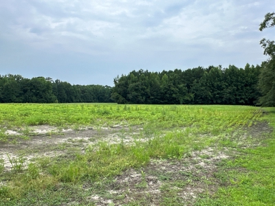 Prime 34-Acre Property in Washington, NC - image 28
