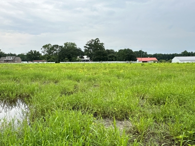 Prime 34-Acre Property in Washington, NC - image 13