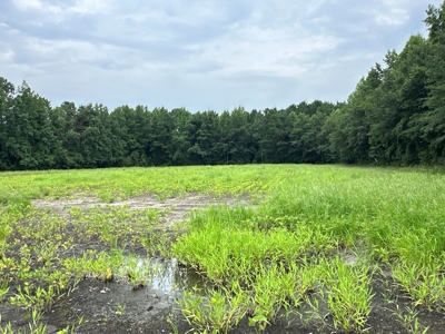 Prime 34-Acre Property in Washington, NC - image 3