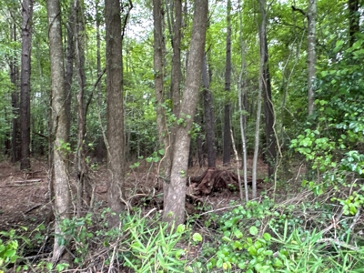 Prime 34-Acre Property in Washington, NC - image 18