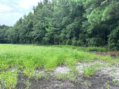 Prime 34-Acre Property in Washington, NC - image 4