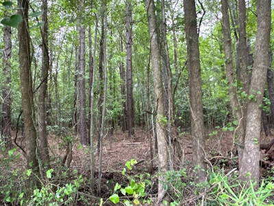 Prime 34-Acre Property in Washington, NC - image 17