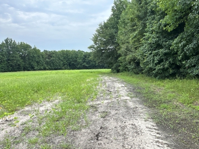 Prime 34-Acre Property in Washington, NC - image 9