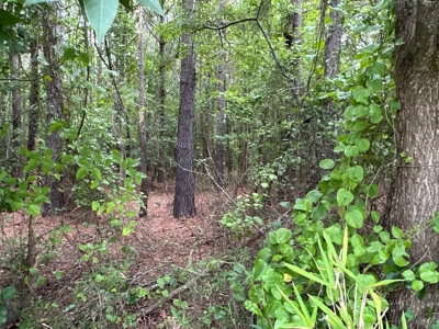 Prime 34-Acre Property in Washington, NC - image 16