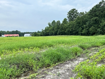 Prime 34-Acre Property in Washington, NC - image 5