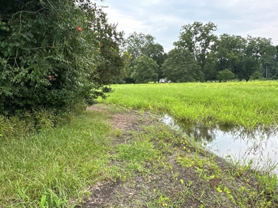 Prime 34-Acre Property in Washington, NC - image 15