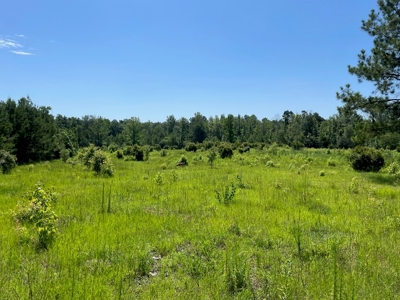 Mt Hermon 23.5 Acres For Sale - image 10