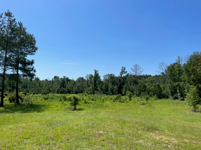 Mt Hermon 23.5 Acres For Sale - image 8