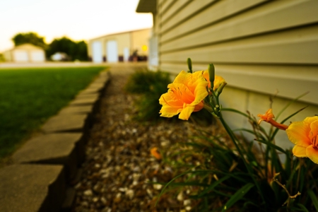 Home for Sale in El Dorado Springs - image 28