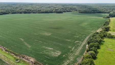 Tract 1 of 7 132+/- Acres Grand River Row Crop Bottom Land - image 11