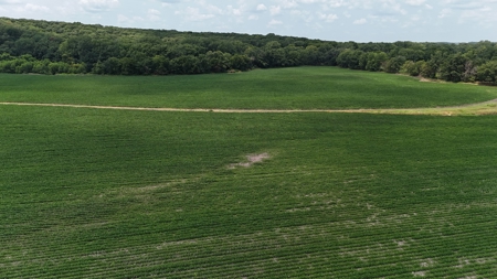 Tract 1 of 7 132+/- Acres Grand River Row Crop Bottom Land - image 14