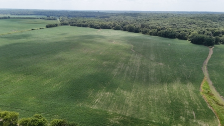 Tract 1 of 7 132+/- Acres Grand River Row Crop Bottom Land - image 18