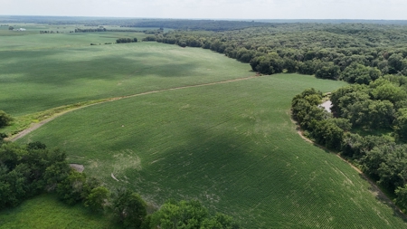 Tract 1 of 7 132+/- Acres Grand River Row Crop Bottom Land - image 19