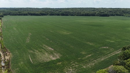 Tract 1 of 7 132+/- Acres Grand River Row Crop Bottom Land - image 10