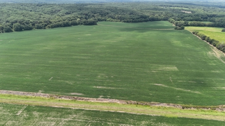 Tract 1 of 7 132+/- Acres Grand River Row Crop Bottom Land - image 12