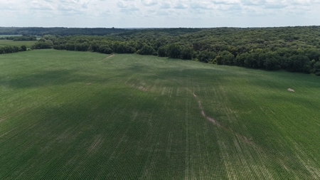 Tract 1 of 7 132+/- Acres Grand River Row Crop Bottom Land - image 17