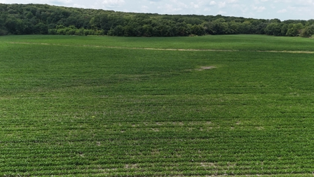 Tract 1 of 7 132+/- Acres Grand River Row Crop Bottom Land - image 13