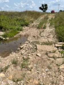 Tract 1 of 7 132+/- Acres Grand River Row Crop Bottom Land - image 2