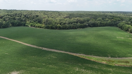 Tract 1 of 7 132+/- Acres Grand River Row Crop Bottom Land - image 16