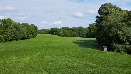 Farmland for Sale in Gibson County, TN - Build a Dream Home - image 8