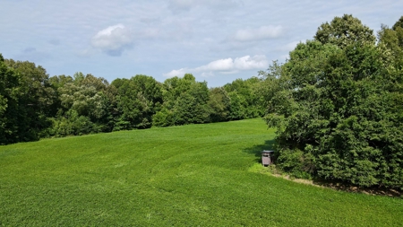 Farmland for Sale in Gibson County, TN - Build a Dream Home - image 11