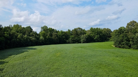 Farmland for Sale in Gibson County, TN - Build a Dream Home - image 13