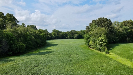Farmland for Sale in Gibson County, TN - Build a Dream Home - image 14