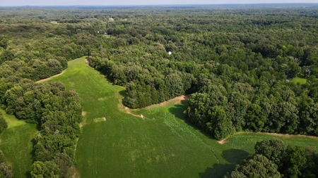 Farmland for Sale in Gibson County, TN - Build a Dream Home - image 16