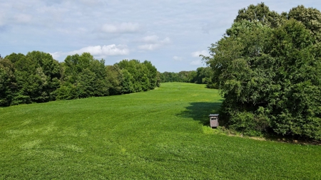 Farmland for Sale in Gibson County, TN - Build a Dream Home - image 10