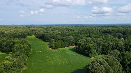 Farmland for Sale in Gibson County, TN - Build a Dream Home - image 4