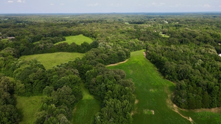 Farmland for Sale in Gibson County, TN - Build a Dream Home - image 2