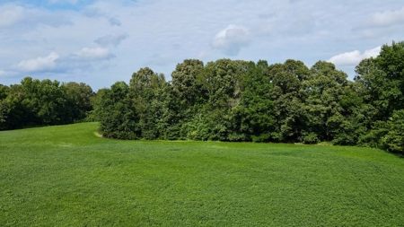 Farmland for Sale in Gibson County, TN - Build a Dream Home - image 12