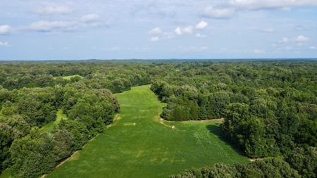 Farmland for Sale in Gibson County, TN - Build a Dream Home - image 1